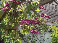DSCF2124.webp