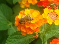 DSC09109.webp