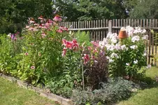 Garten 07 2012 2 002.webp