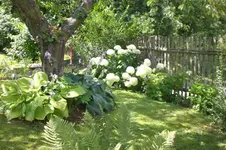 Garten 07 2012 2 003.webp