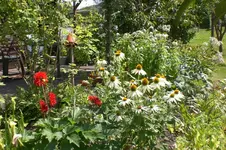 Garten 07 2012 2 008.webp