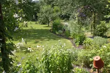 Garten 07 2012 2 009.webp
