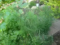 DSC09130.webp