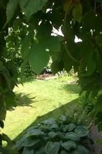 Garten 07 2012 2 012.webp