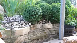 DSCN3350.webp