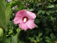 020.webp