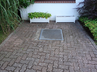 DSC00285.webp
