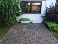 DSC00286.webp