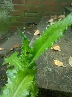 WP_000043 (Medium).webp