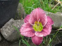 IMG_fragezeichen von unten_1024x768.webp