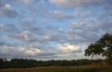 Himmel 9.webp