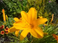 DSC09077.webp