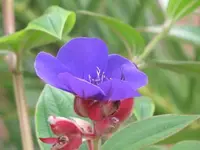 124.webp