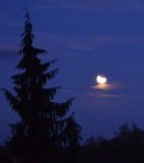 Mondfinsternis 2011a.jpg