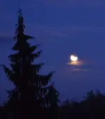 Mondfinsternis 2011a.webp