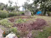 laryi7li2pq3.webp
