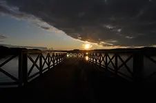 25 Kraeuterfreund.webp
