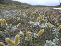 BILD2460.webp