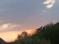 P1000830.webp