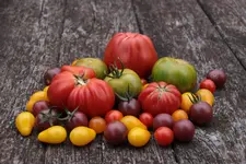 IMG_1873.webp