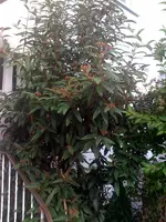 Foto 2.webp