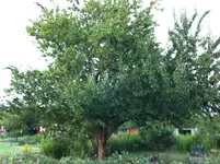 IMG_0635.webp