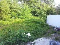 Garten_3_2.webp