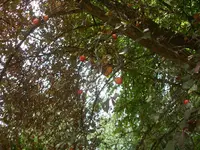 SDC11749.webp