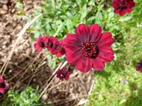 P1020236.webp