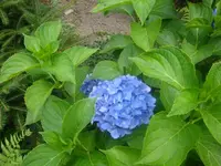 DSC09295.webp