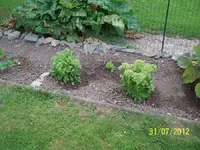 015_900x900_300KB.webp