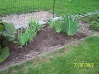 017_900x900_300KB.webp