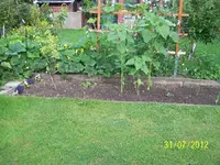 022_900x900_300KB.webp