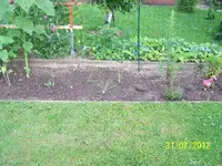 023_900x900_300KB.webp