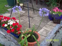026_900x900_300KB.webp