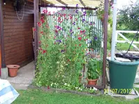 028_900x900_300KB.webp