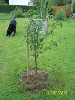 032_900x900_300KB.webp