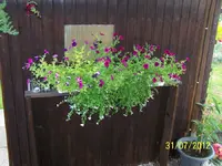 034_900x900_300KB.webp