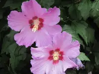 014.webp