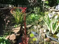 2012_0731Garten120001.webp