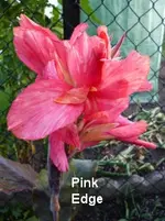 80.webp