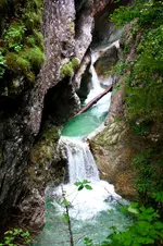 IMG_2280_kl.webp