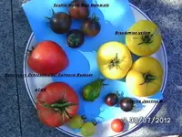 BILD0480.webp