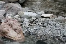 IMG_8099.webp
