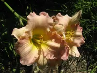 IMG_blessing3_1024x768.webp