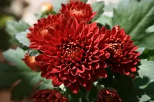 348.webp