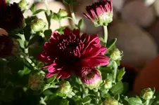 350.webp