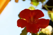 359.webp