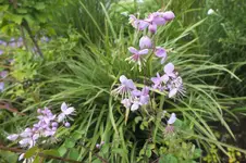 2012_0731Sommer0011.webp