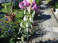 DSCN0413.webp
